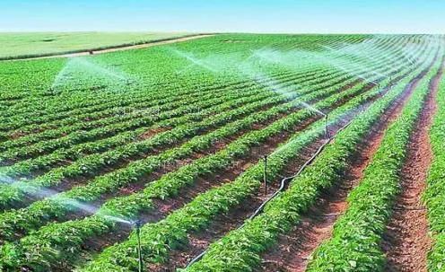 用力插深点农田高 效节水灌溉